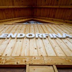 Endorfina