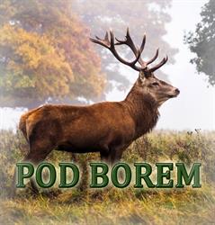 Ośrodek Pod Borem