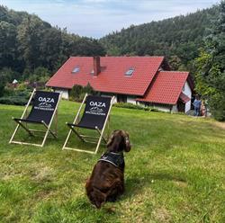 Pokoje Gościnne Oaza