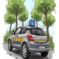 Cabrio Ośrodek Szkolenia Kierowców