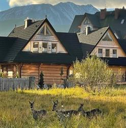 rozetka resort