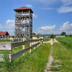 Gospodarstwo Agroturystyczne Rybakówka