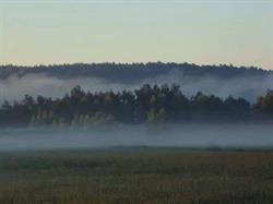 Agroturystyka Borówka