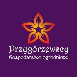 Przygórzewscy Gospodarstwo Ogrodnicze