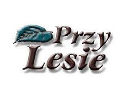 Przy Lesie