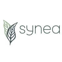 Synea Medical Day Spa