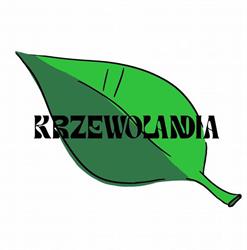 Szkółka drzew ozdobnych i sadzonek leśnych - Krzewolandia