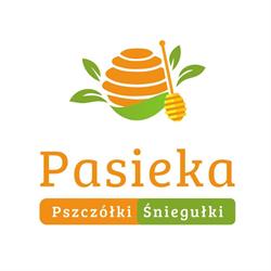 Pasieka Pszczółki Śniegułki