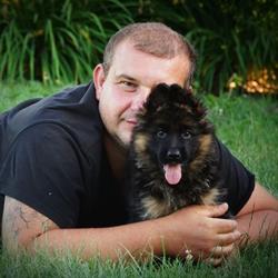 Hodowla Owczarków Niemieckich Długowłosych WOLF HUNTER