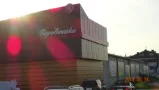 Logo Centrum 3D LED - system napinanego lica