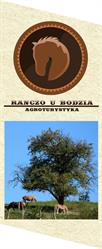 Agroturystyka Ranczo u Bodzia