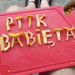 Stanica Wodna PTTK Babięta