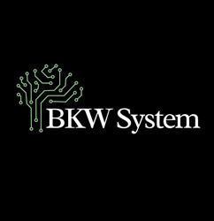 BKW System