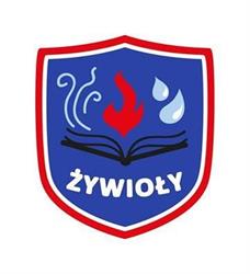 Niepubliczna Szkoła Podstawowa "Żywioły"