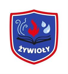 Niepubliczna Szkoła Podstawowa "Żywioły"