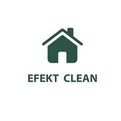 Efekt-Clean - Firma Sprzątająca - czyszczenie kostki brukowej