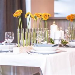 Novobilski - pensjonat i restauracja