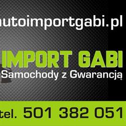 Auto Import Gabi