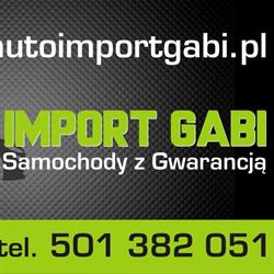 Auto Import Gabi