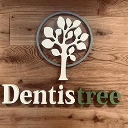 Dentistree Klinika Stomatologiczna Wilanów Dental Clinic