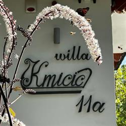 Willa Kmicic
