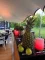 Garden party