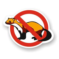 ANTYKUNA.PL - Skuteczne Odstraszacze Gryzoni