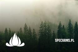 SpecArms