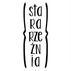 Centrum Kultury Euroregionu Stara Rzeźnia