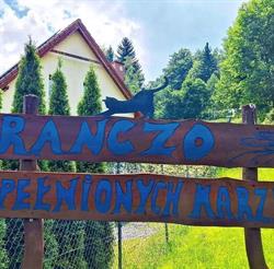 Ranczo Spełnionych Marzeń