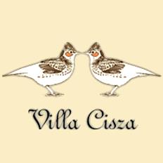 Villa Cisza