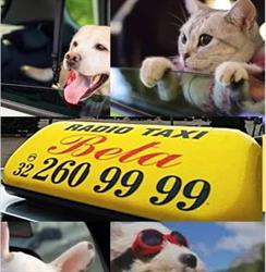 Radio Taxi Beta Dąbrowa Górnicza