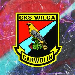 GKS Wilga Garwolin