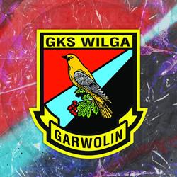 GKS Wilga Garwolin