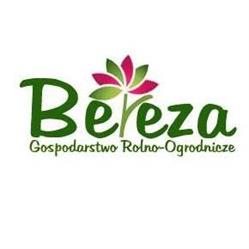 Gospodarstwo Rolno-Ogrodnicze Krzysztof Bereza