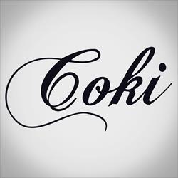 Coki Hurtownia odzieży damskiej