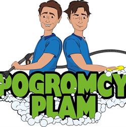 Pogromcy Plam