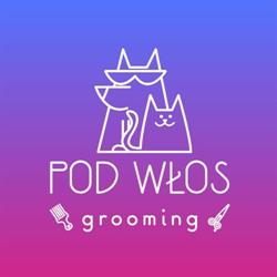 Pod Włos, Katowice
