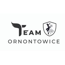 Szkoła Tańca Team Ornontowice
