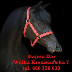 Stajnia Dar