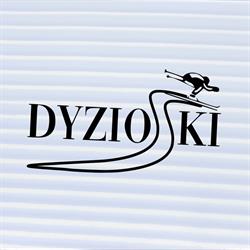Serwis DyzioSki