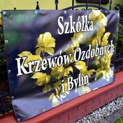 Szkółka Krzewów Ozdobnych i Bylin Orzesze