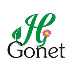 Kwiaty ogrodowe, chryzantemy - J.G. Gonet - Korczyna