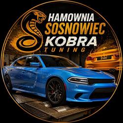 Hamownia Sosnowiec