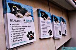 Albin Dog - Salon Pielęgnacji Psów