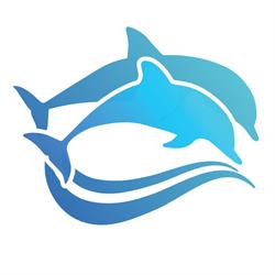 Delfinki na fali
