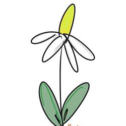 Meta-flora Kwiaciarnia Baboszewo