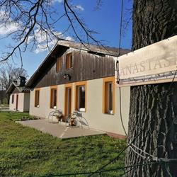 Anastasis
