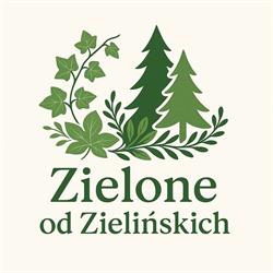 Choinki - Zielińscy