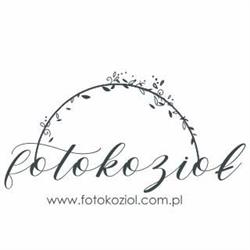 Fotokozioł - Fotografia i Wideofilmowanie